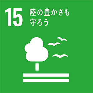 SDGs 8